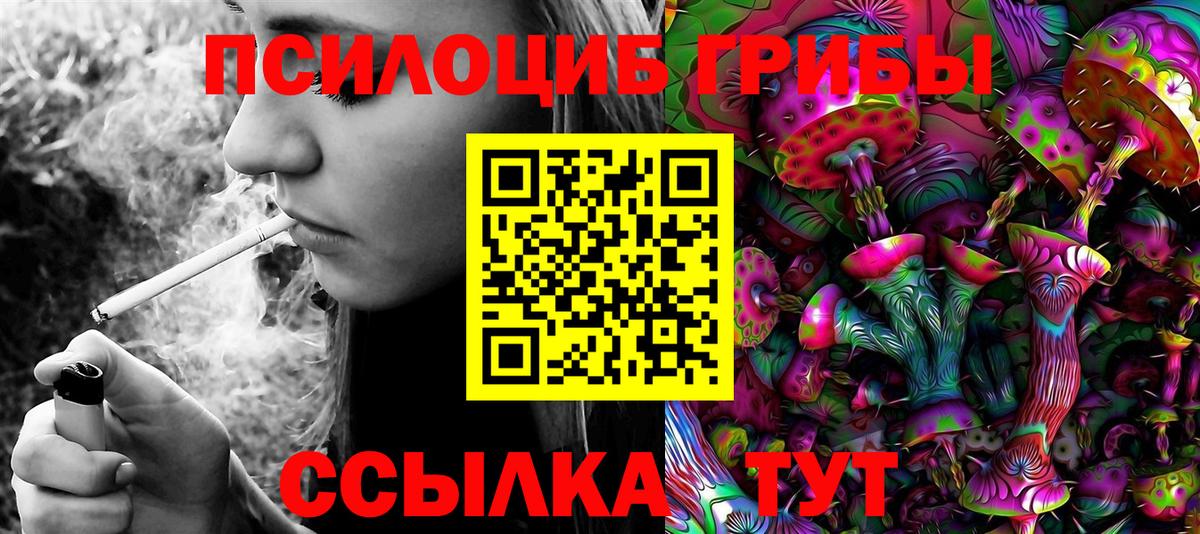 Прокопьевск  купить  сайты  Вход с VPN  Псилоцибиновые грибы мухоморы 